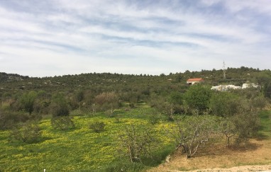 Guest House in Tisno Near the Festival (8+2)