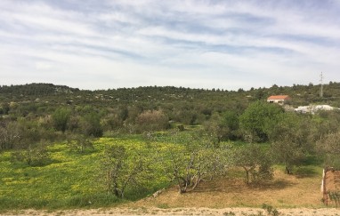 Guest House in Tisno Near the Festival (8+2)