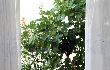 House in Tisno TP154